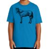 Basic Tee, Youth Ultra Cotton ® 100% US Cotton T Shirt Thumbnail