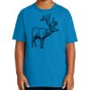 Basic Tee, Youth Ultra Cotton ® 100% US Cotton T Shirt Thumbnail