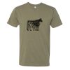 Premium Tee, Next Level Unisex CVC T-Shirt Thumbnail