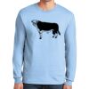 Ultra Cotton ® 100% US Cotton Long Sleeve T Shirt Thumbnail