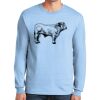 Ultra Cotton ® 100% US Cotton Long Sleeve T Shirt Thumbnail