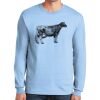 Ultra Cotton ® 100% US Cotton Long Sleeve T Shirt Thumbnail
