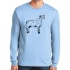 Ultra Cotton ® 100% US Cotton Long Sleeve T Shirt Thumbnail