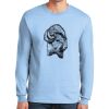 Ultra Cotton ® 100% US Cotton Long Sleeve T Shirt Thumbnail