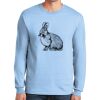 Ultra Cotton ® 100% US Cotton Long Sleeve T Shirt Thumbnail